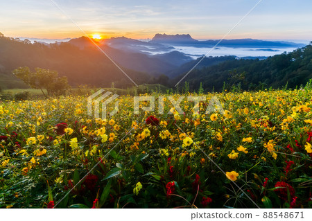 Beautiful landscape in the morning at Doi Luang Chiang Dao, Chiang Mai, Thailand Beautiful landscape in the morning at Doi Luang Chiang Dao, Chiang Mai, Thailand 88548671