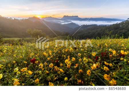 Beautiful landscape in the morning at Doi Luang Chiang Dao, Chiang Mai, Thailand Beautiful landscape in the morning at Doi Luang Chiang Dao, Chiang Mai, Thailand 88548680