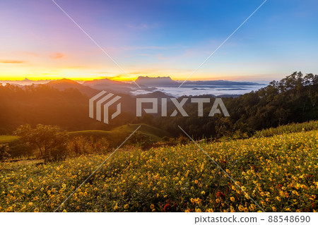 Beautiful landscape in the morning at Doi Luang Chiang Dao, Chiang Mai, Thailand 88548690