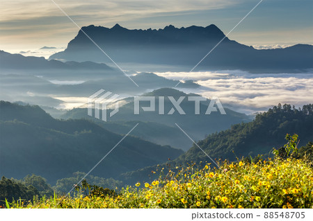 Beautiful landscape in the morning at Doi Luang Chiang Dao, Chiang Mai, Thailand 88548705