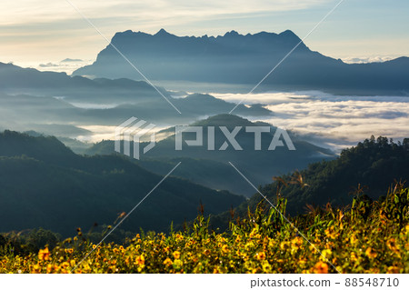 Beautiful landscape in the morning at Doi Luang Chiang Dao, Chiang Mai, Thailand Beautiful landscape in the morning at Doi Luang Chiang Dao, Chiang Mai, Thailand 88548710