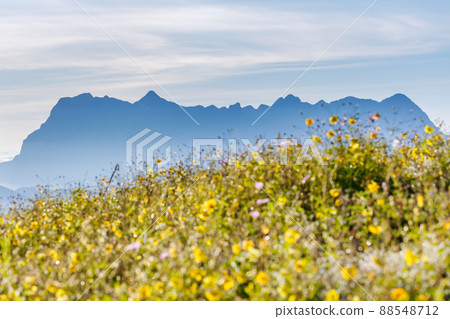 Beautiful landscape in the morning at Doi Luang Chiang Dao, Chiang Mai, Thailand 88548712