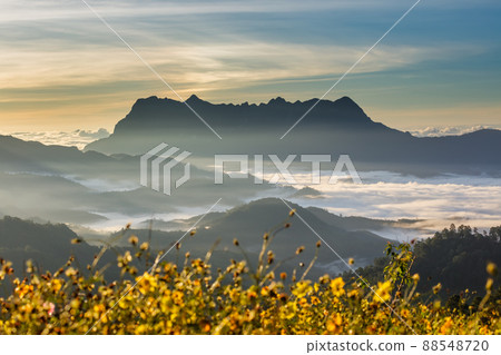 Beautiful landscape in the morning at Doi Luang Chiang Dao, Chiang Mai, Thailand 88548720