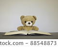 Brown teddy bears sitting on a white background reading a book. Concept back to school, education. 88548873