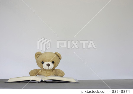 Brown teddy bears sitting on a white background reading a book. Concept back to school, education.And free space for your text. 88548874