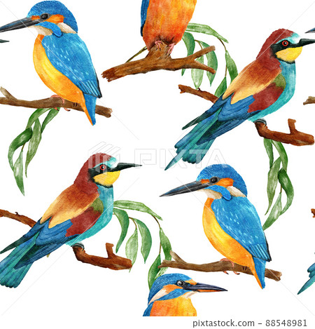 Watercolor seamless hand drawn pattern with wild kingfisher bee-eater birds in forest woodland. Wildlife natural vintage background with floral leaves greenery branches, nature bird flying design. 88548981