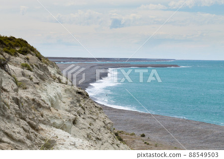 Elephant seals on Caleta Valdes beach, Patagonia, Argentina 88549503