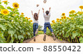一對夫婦在暑假期間在向日葵田裡跳躍 一對夫婦在暑假期間在向日葵田裡跳躍 88550422