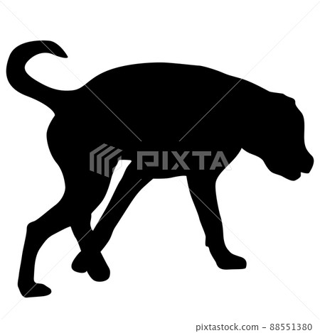 Labrador dog black silhouette on white background. 88551380