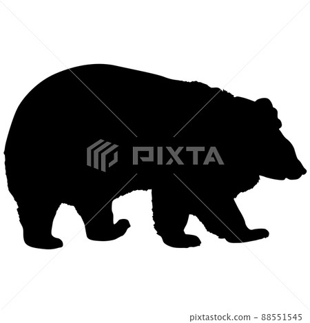 Silhouette brown bear on a white background 88551545