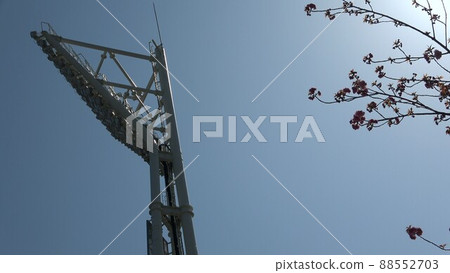 櫻花和夜間遊戲照明塔 88552703