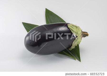 新鮮美味的飯茄子 新鮮美味的飯茄子 88552723