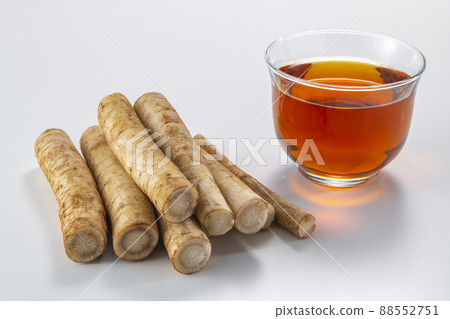 Fresh burdock and delicious tea Fresh burdock and delicious tea 88552751