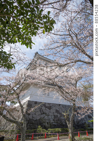 Spring cherry blossoms and Otaki castle 88554238
