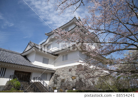 Spring cherry blossoms and Otaki castle Spring cherry blossoms and Otaki castle 88554241