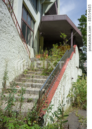 Weed-covered stairs 88554685