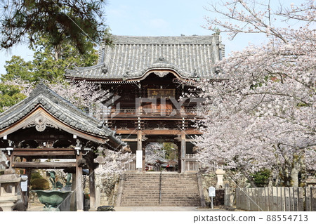 Taikaiji Taikaiji 88554713