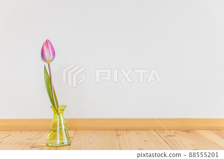 Pink tulip flowers in a vase 88555201