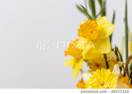 Narcissus flowers and wheat ears placed near the white wall in the room in a vase 88555328