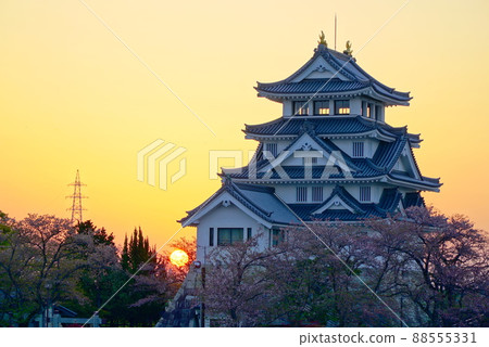 Sakura blooming Sunomata Ichiya Castle and sunrise Sakura blooming Sunomata Ichiya Castle and sunrise 88555331