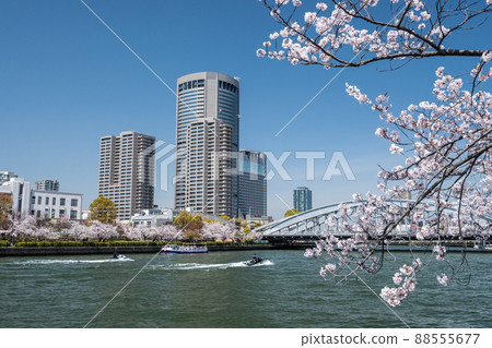 OAP 塔和櫻之宮橋 Spring Okawa 88555677