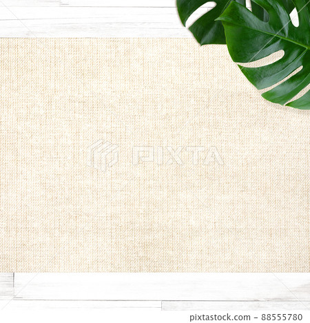 Natural background material with the image of a tropical country 88555780