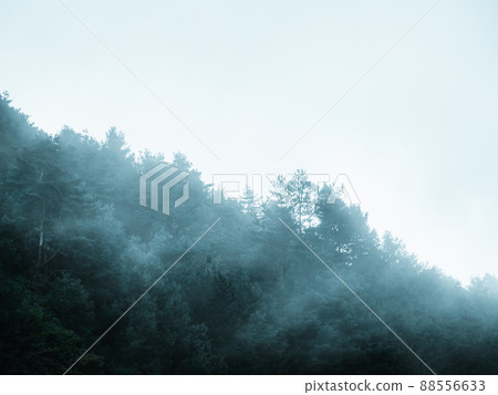 起霧的山景 88556633
