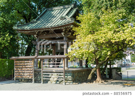 [Japan] Kanagawa, Suzuka Shrine's bell votive tablet, votive tablet and yellow autumn leaves 88556975