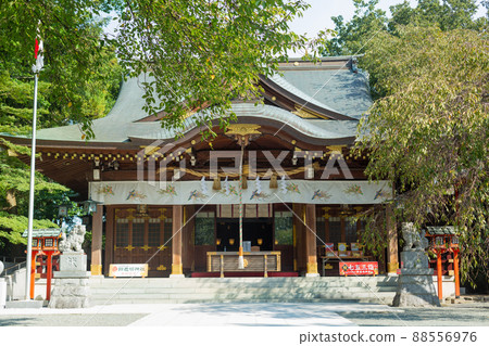 [Japan] Exterior view of the main shrine surrounded by greenery at Suzuka Shrine, Kanagawa 88556976