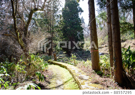 秋田縣,沿著水路通往瀧橋水源池的步行道 秋田縣,沿著水路通往瀧橋水源池的步行道 88557295