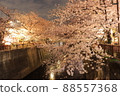 目黑川的夜櫻 88557368