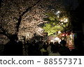 目黑川的夜櫻 88557371