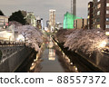 目黑川的夜櫻 88557372