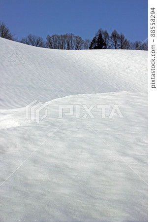 福島縣只見町解凍雪原 88558294
