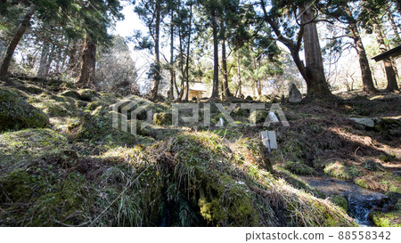 泉水源今木神社和天然杉瀑布頭水源池秋田縣 88558342