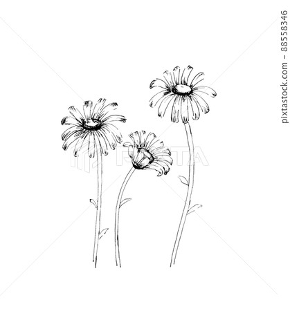 Margaret monochrome Margaret monochrome 88558346