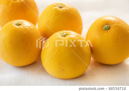 小五穀半佩玉 88558718