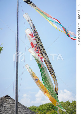 Carp streamer higher than the roof 88561000