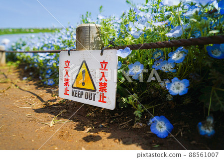 Signs off limits 88561007