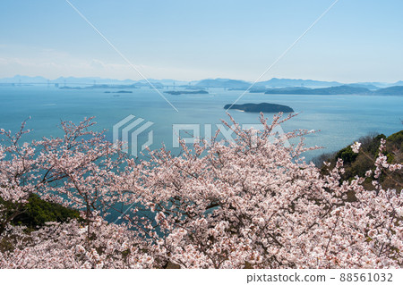 Scenery of the Seto Inland Sea in spring [View from Okayama Prefecture Prince Gadake] 88561032