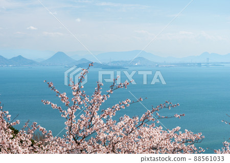 Scenery of the Seto Inland Sea in spring [View from Okayama Prefecture Prince Gadake] 88561033