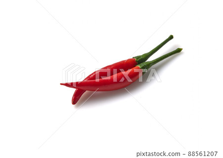 chili pepper isolated on white chili pepper isolated on white 88561207