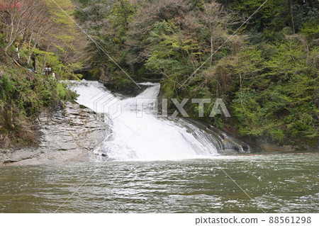 蘆原瀑布 88561298