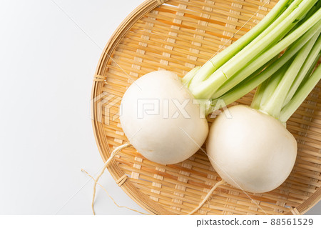 turnip turnip 88561529