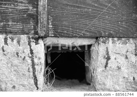 Dozo vent black-and-white shooting 88561744