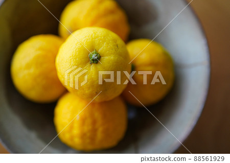 Yuzu ripened yellow in season when it was served in kintsugi pottery Yuzu ripened yellow in season when it was served in kintsugi pottery 88561929