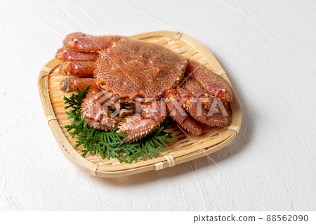 Fresh haired crab Fresh haired crab 88562090