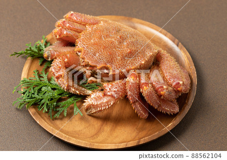 Fresh haired crab Fresh haired crab 88562104