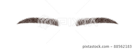 Sable style eyebrows. Permanent make-up and lamination. Brow studio logo. Linear vector Illustration in trendy minimalist style 88562183