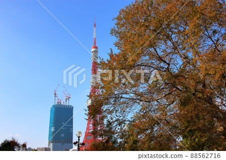 Tokyo Tower shown with flowering trees in front as seen from Shiba Park Tokyo Tower shown with flowering trees in front as seen from Shiba Park 88562716